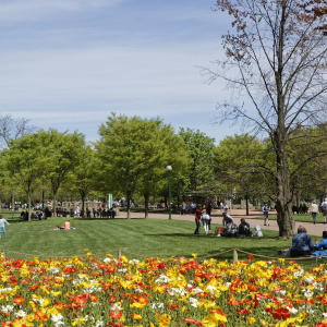 Parc de la Tête d'Or © Pierre-Jean Durieu / Shutterstock 408975025